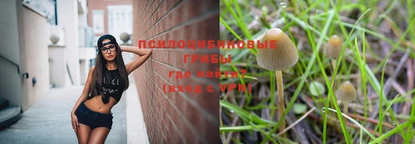 дурь Баксан