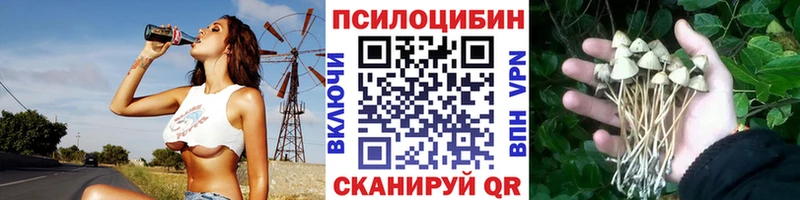 Галлюциногенные грибы Psilocybine cubensis  закладки  Красково 